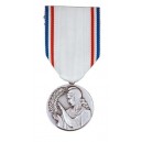 Reconnaissance Française Classe Argent  - ordonnance argent