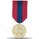 Défense nationale - Classe Bronze - Ordonnance bronze ﻿