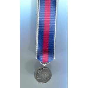 Services Militaires Volontaires - Classe Argent - Réduction  Bronze Argenté