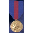Service militaire volontaire - Classe bronze - ordonnance bronze