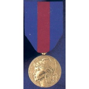 Services Militaires Volontaires - Classe bronze - Ordonnance 