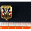 Insigne Porte Drapeau - Reduction 10 ANS