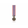 COMMEMORATIVE AFN-Reduction