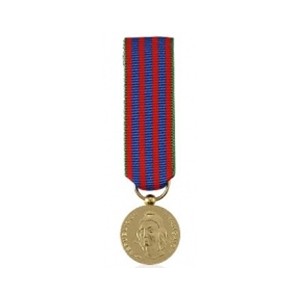 Commémorative Française - Réduction Bronze