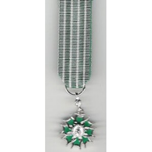 Arts & lettres - Chevalier - Réduction - Argent