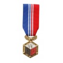 MEDAILLE DU BACHELIER