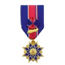 Médaille d'Honneur de la Santé et des Affaires Sociales Classe Or