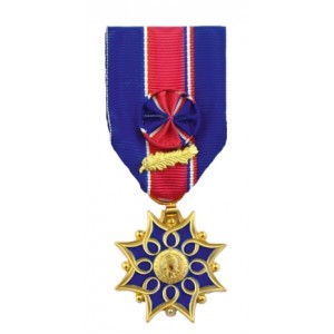 Médaille d'Honneur de la Santé et des Affaires Sociales Classe Or